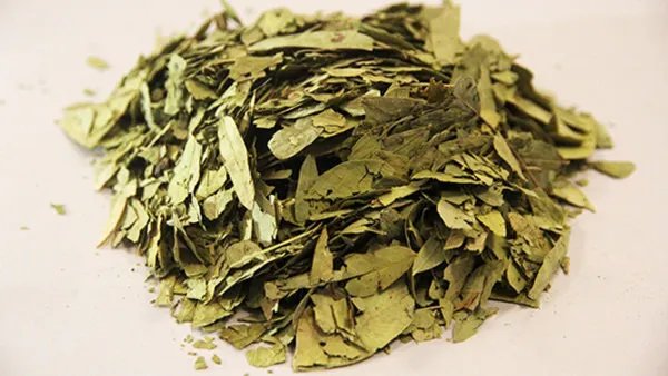 番泻叶的副作用