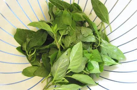 鳄鱼肉要怎么做才好吃？