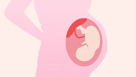 胎儿胎心率正常值