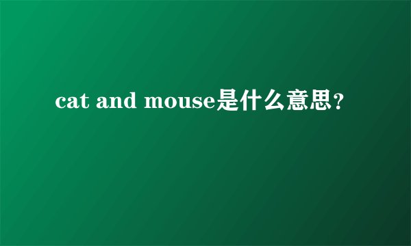 cat and mouse是什么意思？