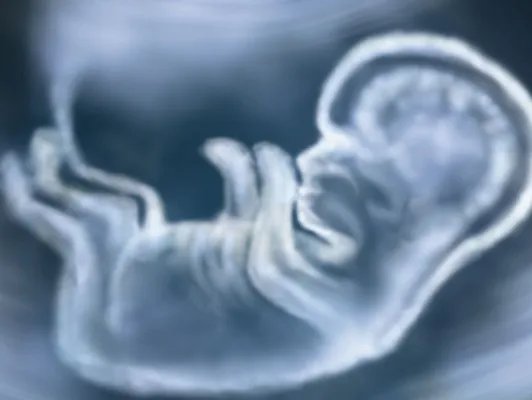 入盆的感觉是怎样的