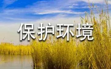 保护环境公益广告词