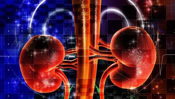 肾积水如何治疗