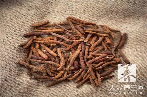 什么是北虫草？