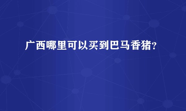 广西哪里可以买到巴马香猪？