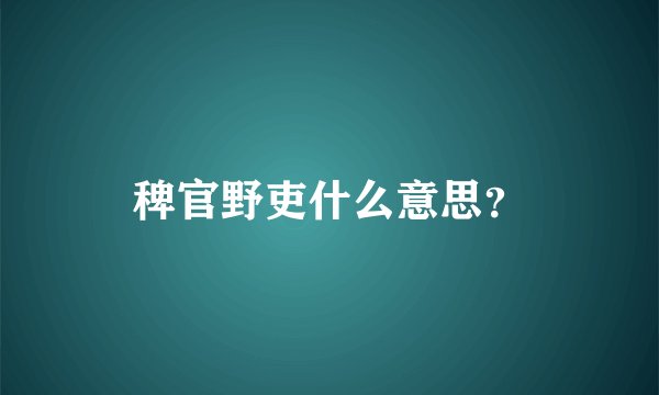 稗官野吏什么意思？