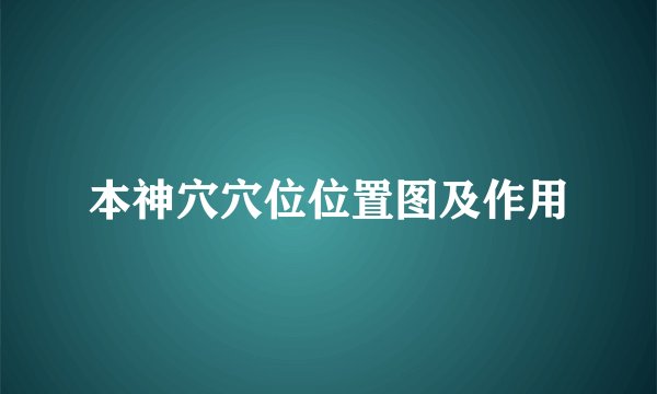 本神穴穴位位置图及作用