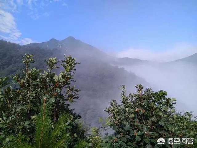 古往今来，为何隐士、修行者会首选终南山隐逸修行？