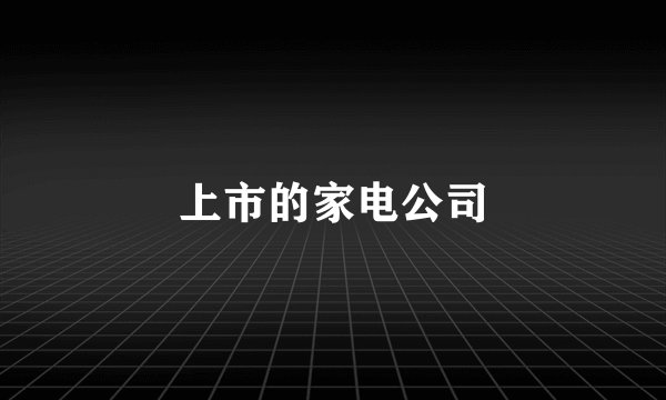 上市的家电公司