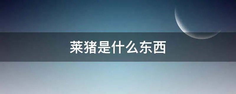 莱猪是什么东西
