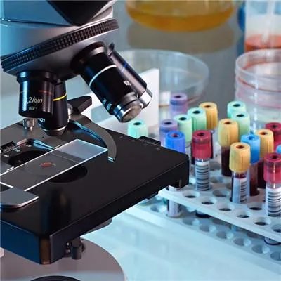 德国骨科什么意思啊