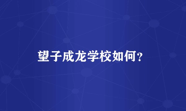 望子成龙学校如何？