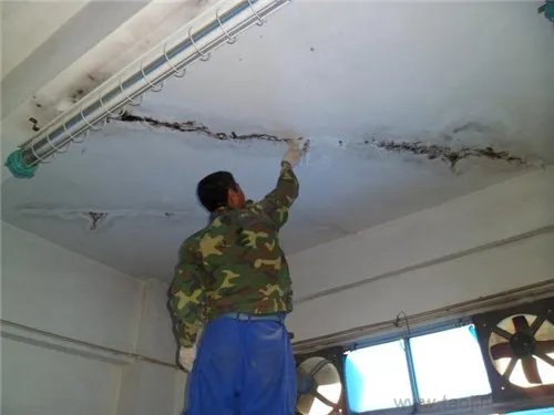 房屋防水补漏的方法 房屋防水补漏的公司有哪些