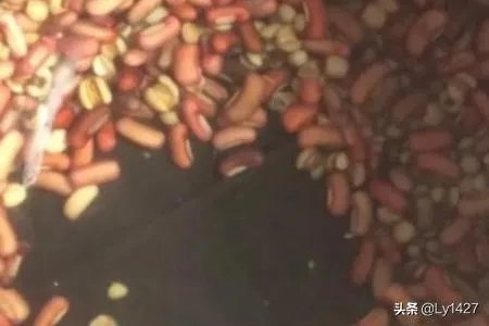 赤小豆薏米粥怎么做？