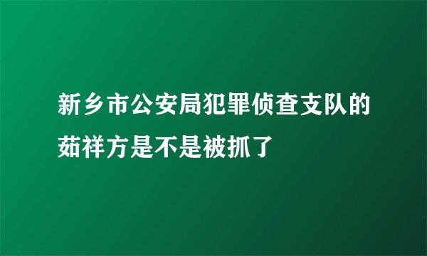 新乡市公安局犯罪侦查支队的茹祥方是不是被抓了