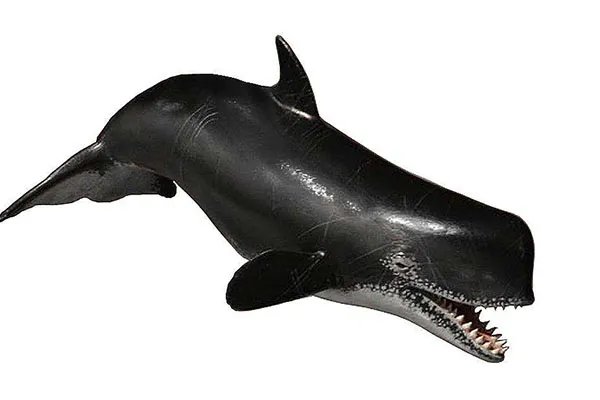 十大灭绝恐怖动物名单，所幸都已经成为化石