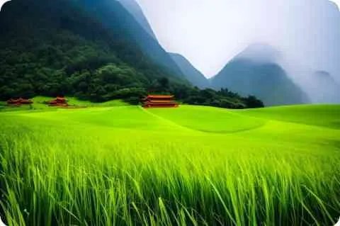 刘进荣为什么 ... 镇长?