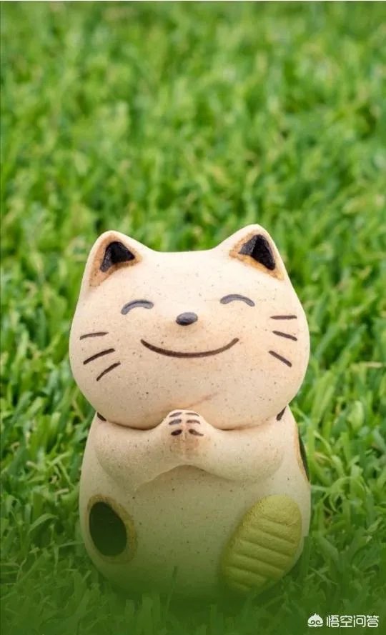 为什么说岁月是一把杀猪刀？这把刀改变了你什么？