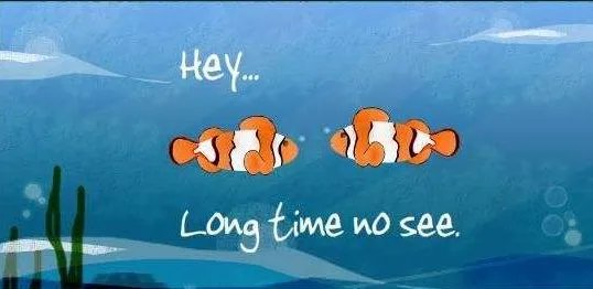long time no see是什么意思？