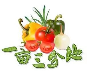 人们常说“一亩三分田”是什么意思？