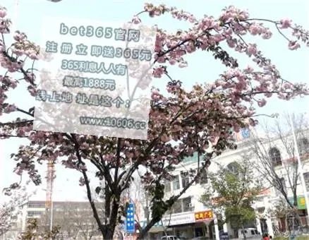 2003年女排世界杯的赛程赛果