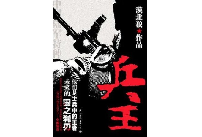 特种兵小说十大排行榜 我的特种生涯第八,第二不容错过