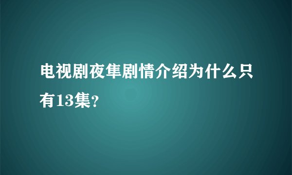 电视剧夜隼剧情介绍为什么只有13集？