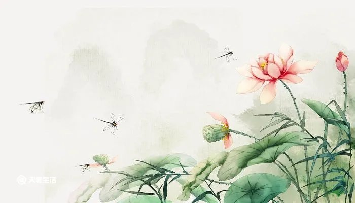 毕竟西湖六月中的诗意