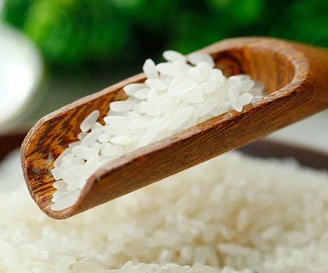 最新东北大米价格