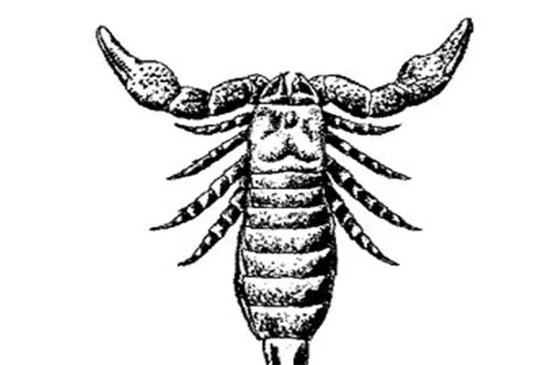 十大灭绝恐怖动物名单，所幸都已经成为化石