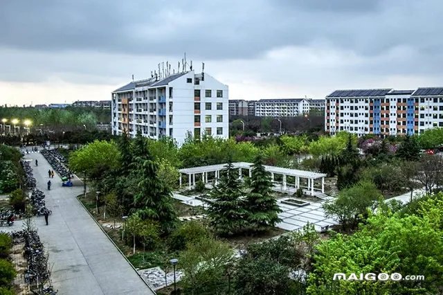 2022山东理工类大学名单 山东有哪些理工类大学比较好