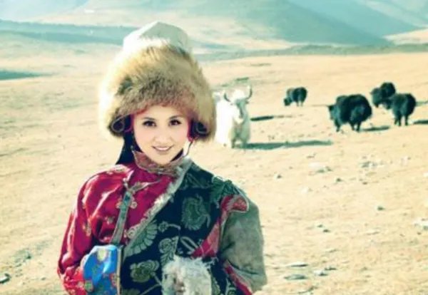 央金兰泽12首经典歌曲