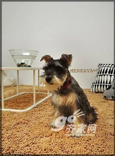 家居装修达人秀 42平超小老房变时尚窝