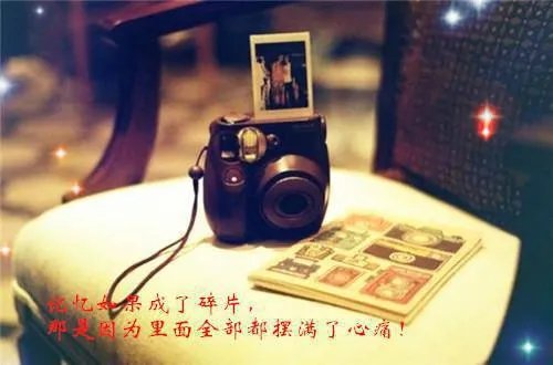 艾青鱼化石赏析(精选5篇)