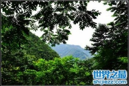 缅甸的野人山是一座十分可怕的山 据说很少有人活着走出去 