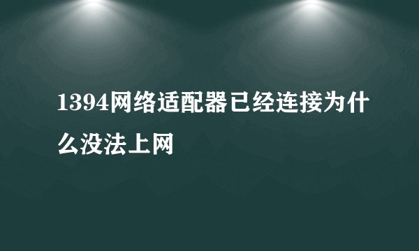 1394网络适配器已经连接为什么没法上网