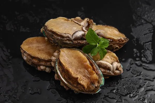 鲍鱼的功效与作用及营养