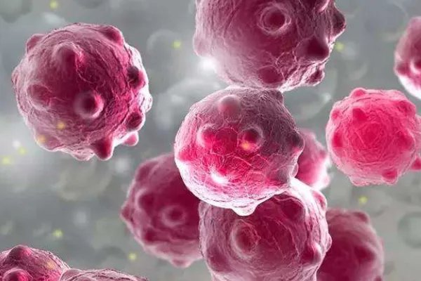 哈尔滨16名学生感染诺如病毒，这种病毒有什么风险？