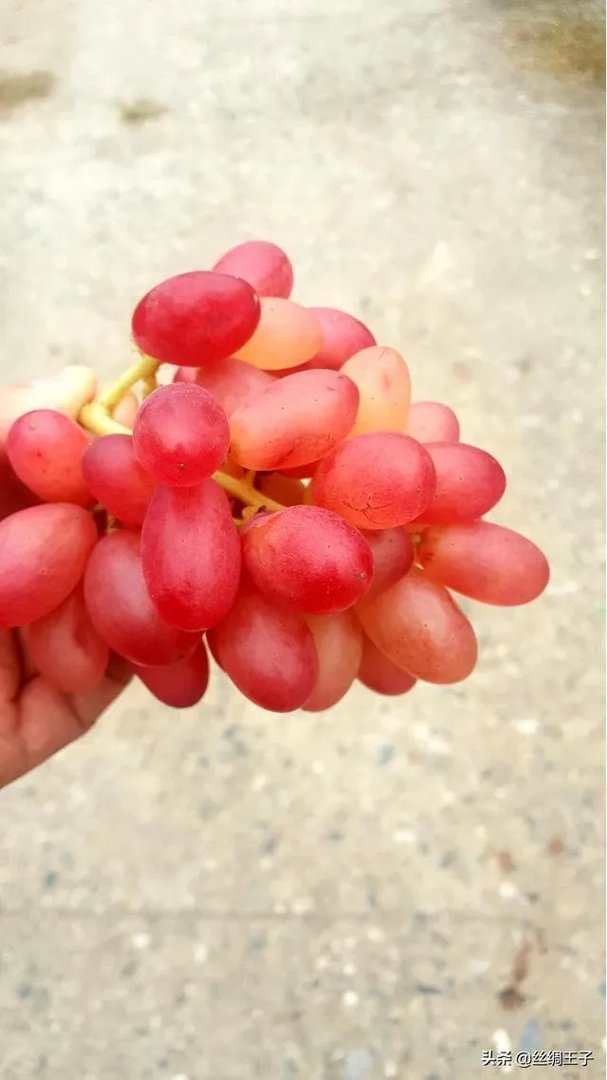 春天已在路上，疫情还会远吗？