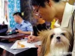 给宠物狗办证需要什么流程？有必要吗？