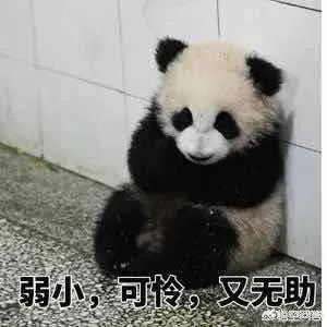 ES7是正式的称呼吗？