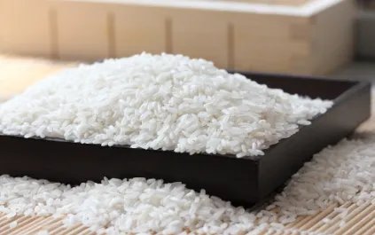 最新东北大米价格