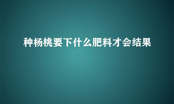 种杨桃要下什么肥料才会结果