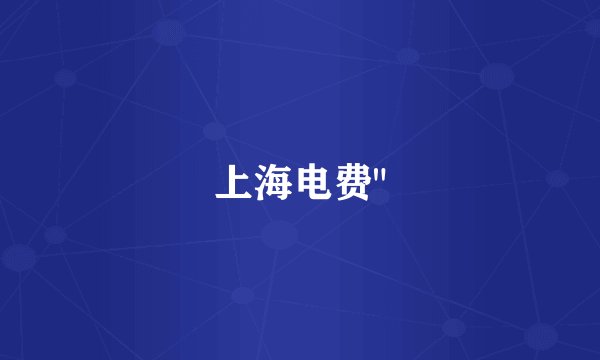 上海电费