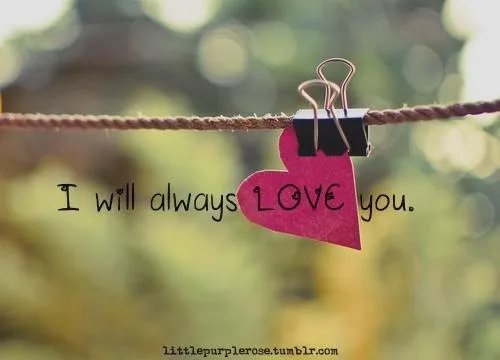 全本免费小说山河不如你虞紫鸢江枫眠阅读