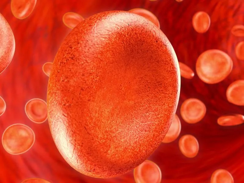 血红蛋白浓度偏低怎么办