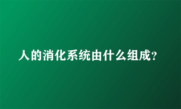 人的消化系统由什么组成？