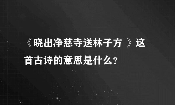 《晓出净慈寺送林子方 》这首古诗的意思是什么？