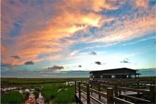 崇明西沙湿地公园