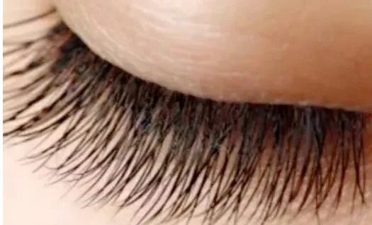 种眼睫毛的有效方法